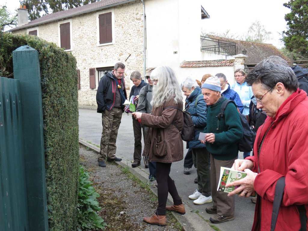 2014-04-13-Balade naturaliste autour de Sonchamp